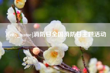 朝阳消防日全国消防日主题活动