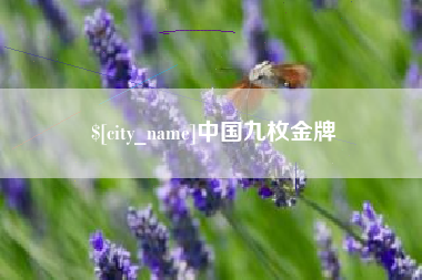 朝阳中国九枚金牌