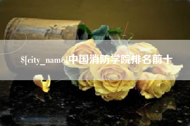 朝阳中国消防学院排名前十