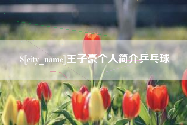 朝阳王子豪个人简介乒乓球
