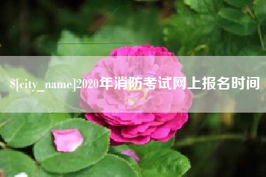 朝阳2020年消防考试网上报名时间