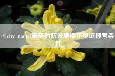 朝阳重庆消防设施操作员证报考条件