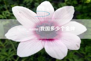 朝阳我国多少个金牌