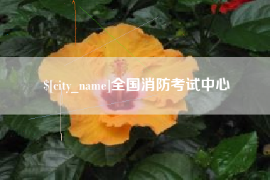 朝阳全国消防考试中心