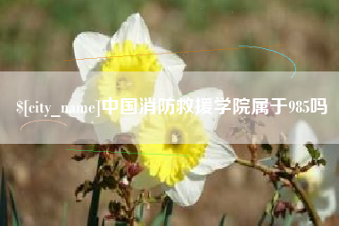 朝阳中国消防救援学院属于985吗