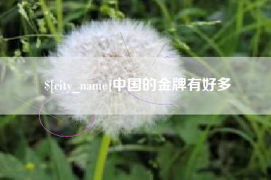 朝阳中国的金牌有好多