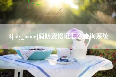 朝阳消防资格证怎么查询系统