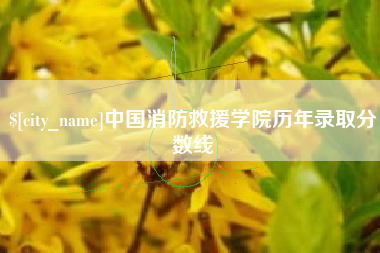 朝阳中国消防救援学院历年录取分数线