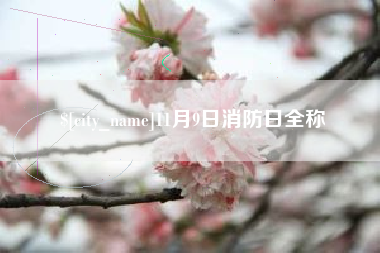 朝阳11月9日消防日全称