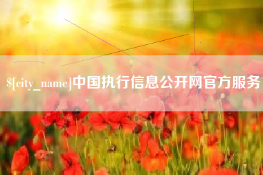 朝阳中国执行信息公开网官方服务
