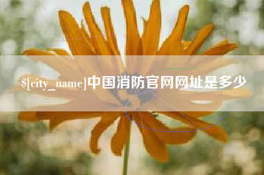 朝阳中国消防官网网址是多少