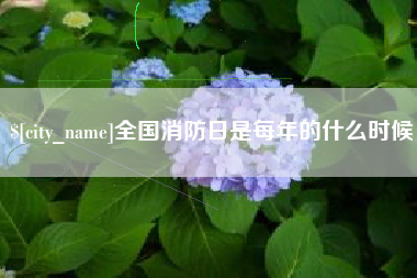朝阳全国消防日是每年的什么时候
