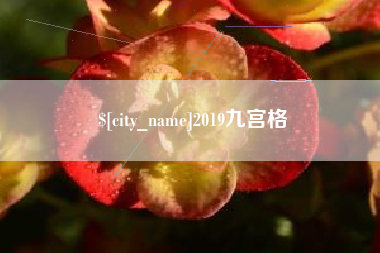 朝阳2019九宫格