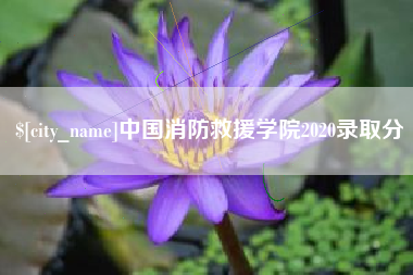 朝阳中国消防救援学院2020录取分