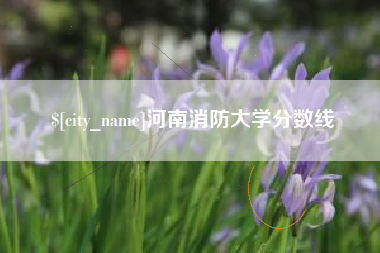 朝阳河南消防大学分数线