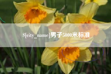 朝阳男子5000米标准
