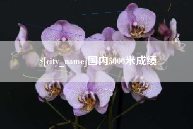 朝阳国内5000米成绩
