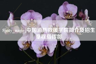 朝阳中国消防救援学院简介及招生章程指挥部