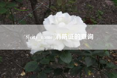 朝阳消防证的查询