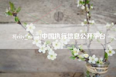 朝阳中国执行信息公开平台