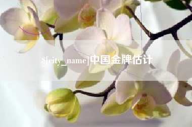 朝阳中国金牌估计