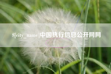 朝阳中国执行信息公开网网