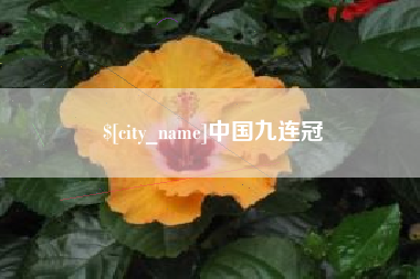 朝阳中国九连冠