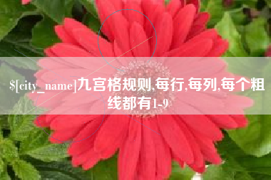朝阳九宫格规则,每行,每列,每个粗线都有1-9