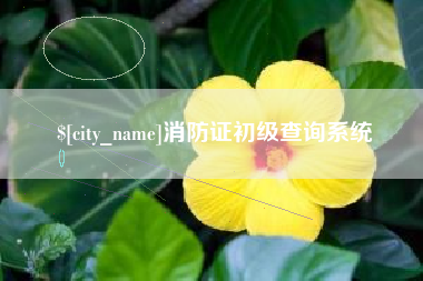 朝阳消防证初级查询系统