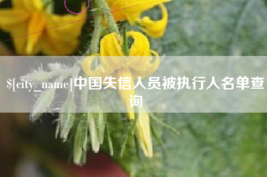 朝阳中国失信人员被执行人名单查询