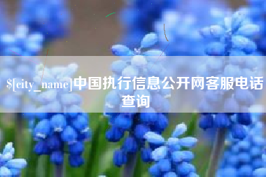 朝阳中国执行信息公开网客服电话查询