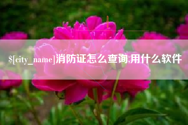 朝阳消防证怎么查询,用什么软件