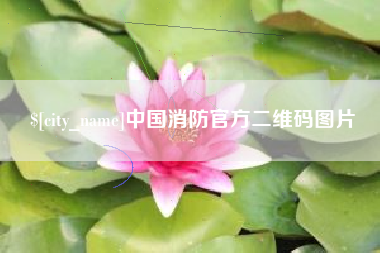 朝阳中国消防官方二维码图片