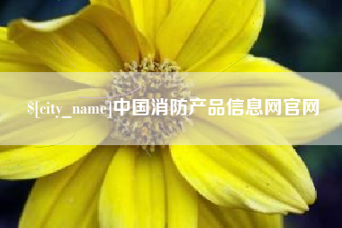 朝阳中国消防产品信息网官网