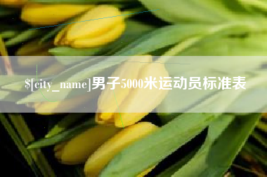 朝阳男子5000米运动员标准表