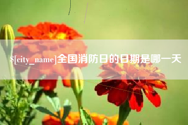 朝阳全国消防日的日期是哪一天