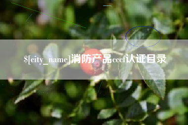 朝阳消防产品cccf认证目录