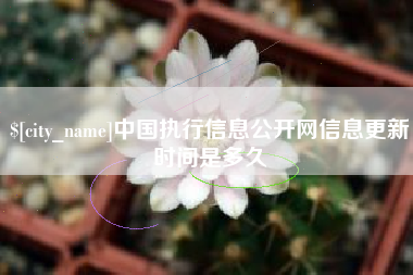 朝阳中国执行信息公开网信息更新时间是多久