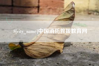 朝阳中国消防救援教育网