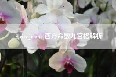 朝阳西方命数九宫格解析