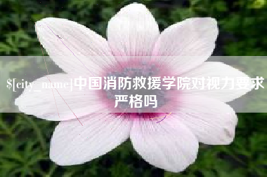 朝阳中国消防救援学院对视力要求严格吗