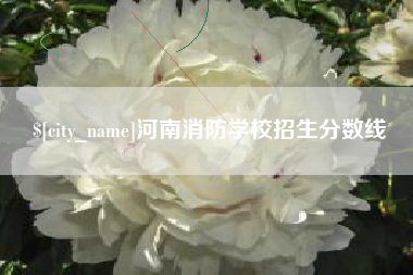 朝阳河南消防学校招生分数线