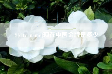 朝阳现在中国金牌是多少