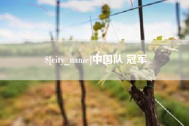 朝阳中国队 冠军