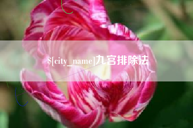 朝阳九宫排除法