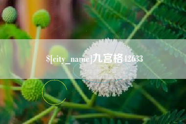 朝阳九宫格42633