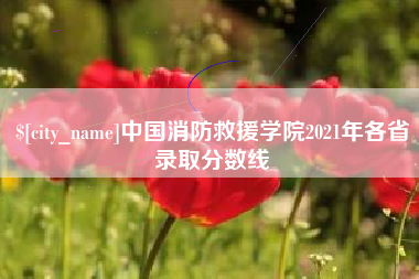 朝阳中国消防救援学院2021年各省录取分数线