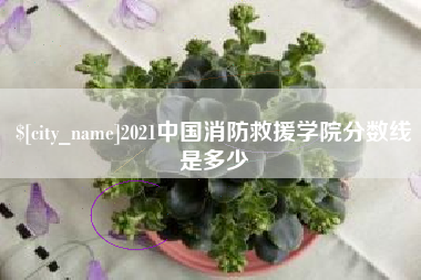 朝阳2021中国消防救援学院分数线是多少