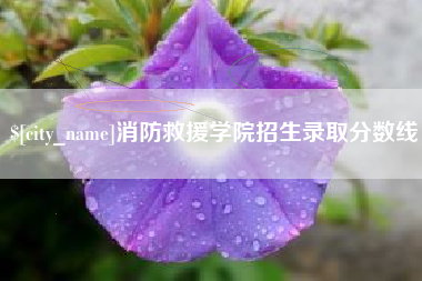 朝阳消防救援学院招生录取分数线