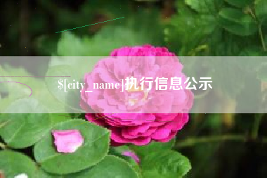 朝阳执行信息公示